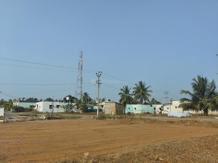 Karamadai Main Image 1