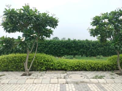 Image of 175 Sq.ft Residential Plot / Land for sale in Mansha Oaks, Sector 98, Faridabad for Rs. 19250000