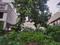 330 gaj plot inderprashtha Main Image 1