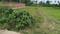 Rksinha Plot View 2