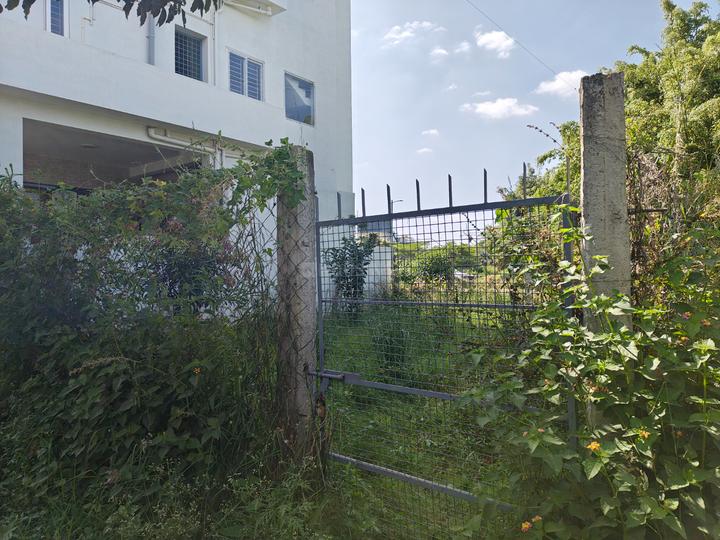 Smaya Jade Nester Main Image 1