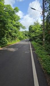 Residential plot in Corgao Plot View 2