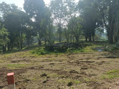 Image of 9147 Sq.ft Residential Plot / Land for sale in Vilpatti, Kodaikanal for Rs. 250000