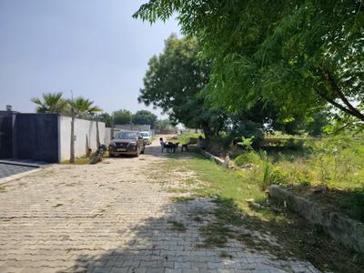 Image of 100 Sq.ft Residential Plot / Land for sale in Bhanauta, Greater Noida for Rs. 3511300