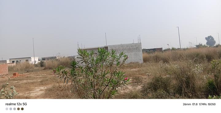 Sector 18 pocket 8 Main Image 1