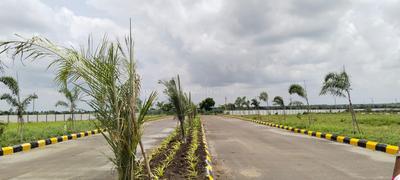 Residential Plot