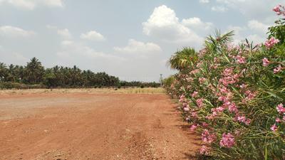 Image of 13420 Sq.ft Residential Plot / Land for sale in Kalapatti, Coimbatore for Rs. 65575000