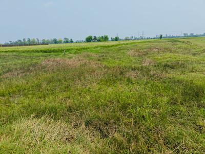 Sonarpur Plot View 2