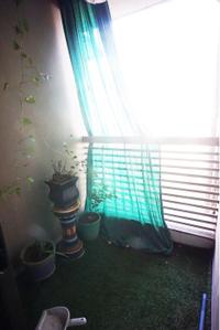 Balcony Image of 1100 Sq.ft 2 BHK Apartment / Flat for sale in Tragad Ahmedabad for Rs. 4700000