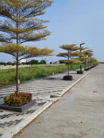 Shreeji Corridor Main Image 1