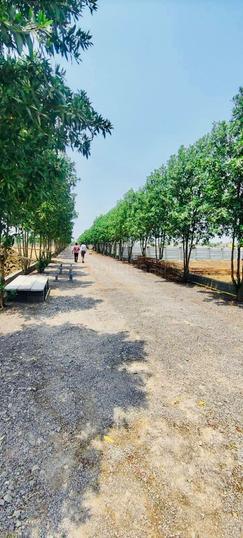 PREMIUM FARM HOUSE LAND IN COVERED CAMUS Main Image 1