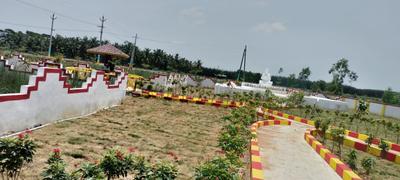 Pendurthi Plot View 2