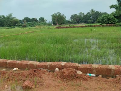 Image of 1200 Sq.ft Residential Plot / Land for sale in Phulnakhara, Cuttack for Rs. 1980000