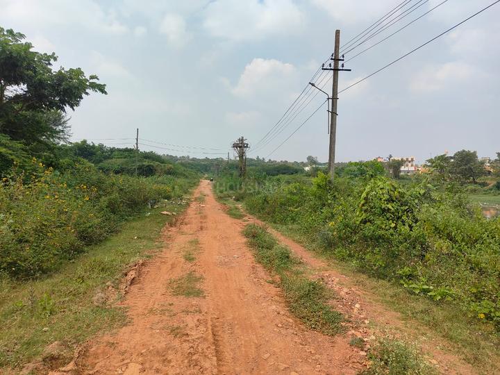 KHB Colony 1Stage Amargol  Main Image 1