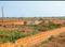 Patrapada Plot View 2