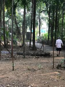 Image of 40000 Sq.ft Residential Plot / Land for sale in Bagmala, Alibag for Rs. 40000000