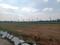 Thimmapur Plot View 1