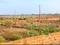 Patrapoda Main Image 1