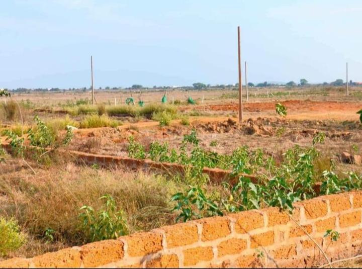 Patrapoda Main Image 1