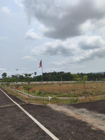 SHYAM AVENUE Main Image 1