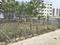 Pragathi Nagar plots Plot View 2