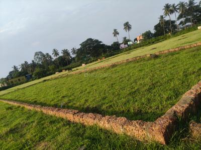 Image of 1600 Sq.ft Residential Plot / Land for sale in Phulnakhara, Cuttack for Rs. 1875000