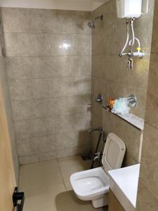 Common Bathroom Image of 1215 Sq.ft 2 BHK Apartment / Flat for rent in Orchid Blues, Shela Ahmedabad for Rs. 38500