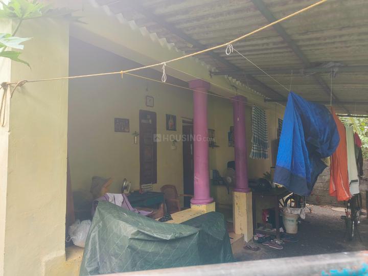 Palluruthy Main Image 1