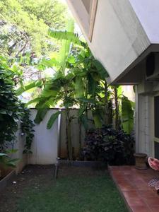 Balcony Image of 2400 Sq.ft 3 BHK Apartment / Flat for sale in Richmond Town Bengaluru for Rs. 56000000