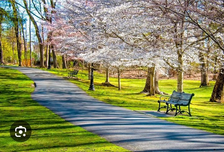 Doctors paradise Main Image 1