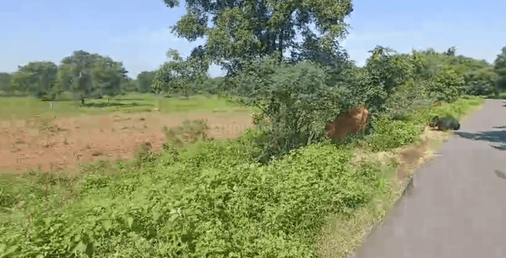 Jangaon Main Image 1