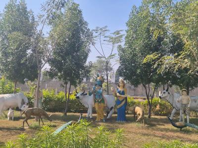 Residential Plot