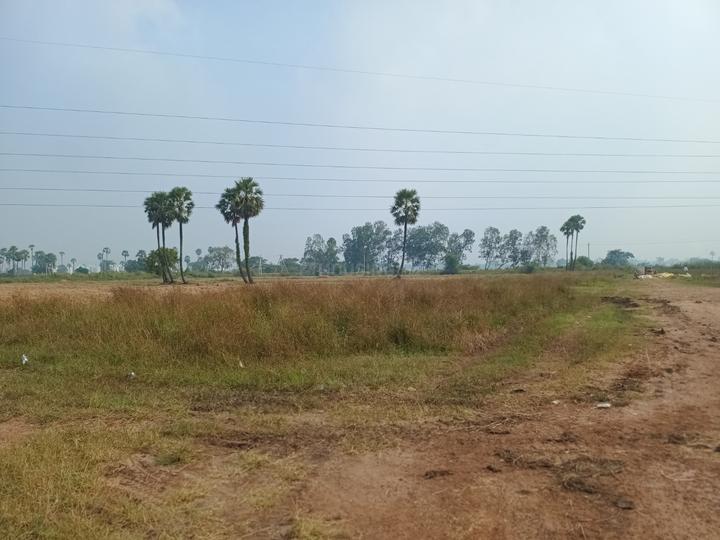 Residential 160 Sqft Plot for sale at Chenchupet, Tenali Property ID