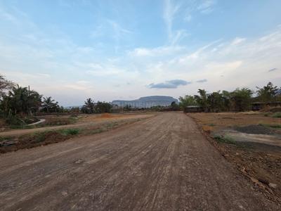 VALORA VIBE Plot View 3