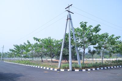 Harbour city Plot View 1