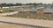 Golden city sadisavepet Plot View 2