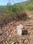 Boma Main Image 1