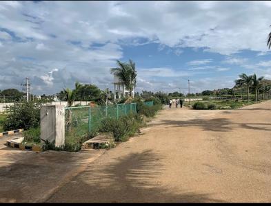 Residential Plot