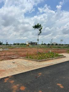 Residential Plot