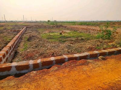 Patrapada Plot View 2
