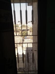 Balcony Image of 150 Sq.ft 1 BHK Apartment / Flat for rent in Ghodasar Ahmedabad for Rs. 8000