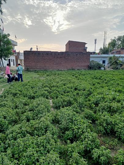 C.B.Ganj Main Image 1
