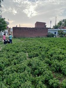 Image of 3400 Sq.ft Residential Plot / Land for sale in C.B.Ganj, Bareilly for Rs. 900000
