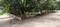 Vedant Morning Glory Plot View 2