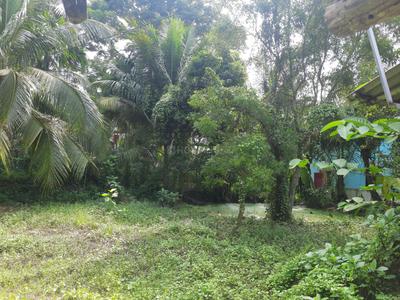 Residential Plot