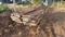 Padur Main Image 1