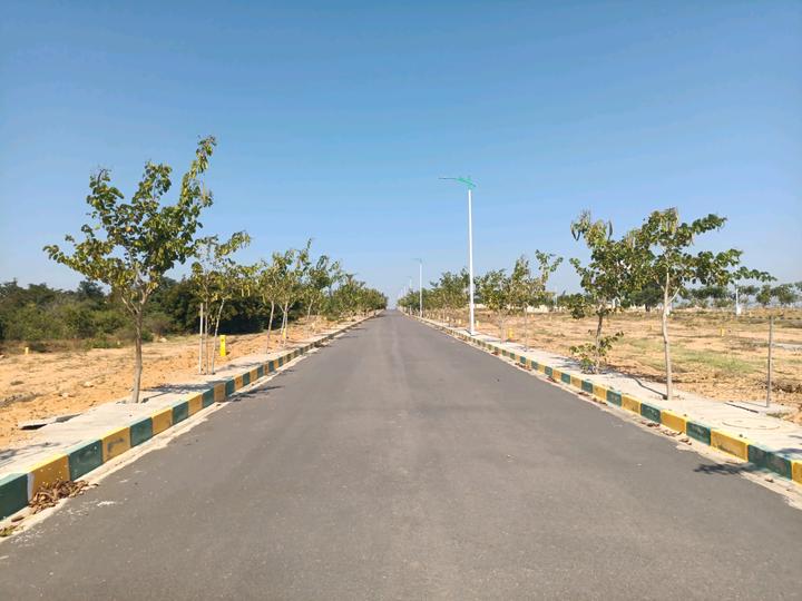 SGD Elite Main Image 1