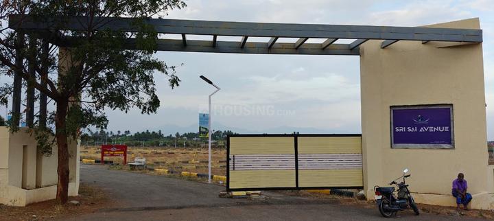 Annur Main Image 1