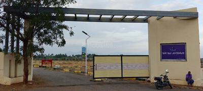 Annur Plot View 1