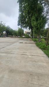 Aarohi club plot Plot View 1